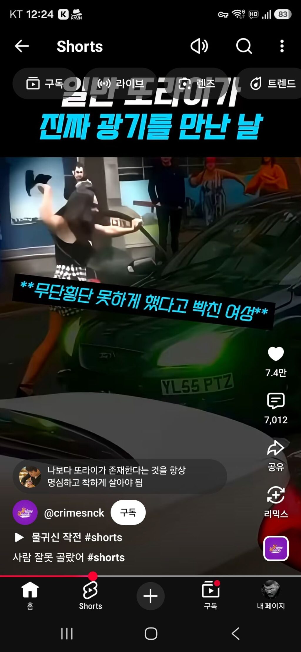날뛰는 광기와 만난 평범한 또라이