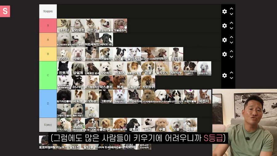 강형욱이 선정한 견종 난이도 티어리스트.jpg