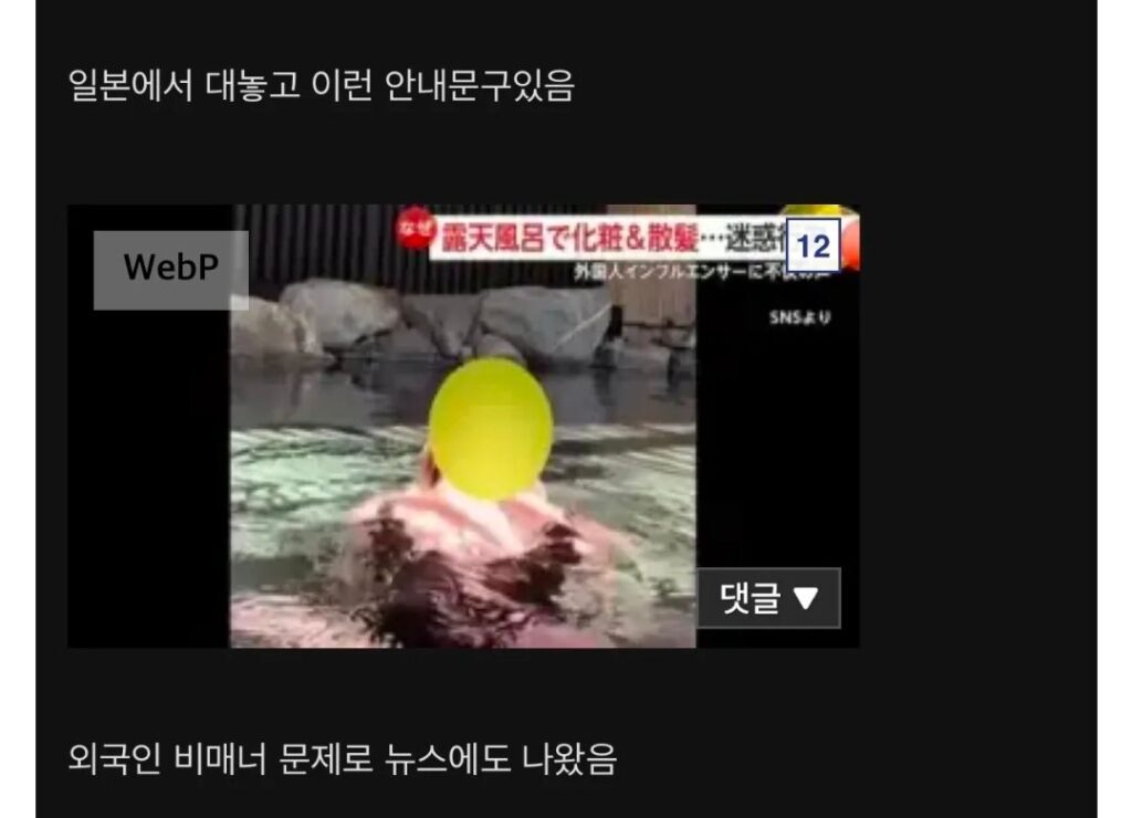 한국 유튜버, 일본 혼욕 온천에서 노골적 촬영