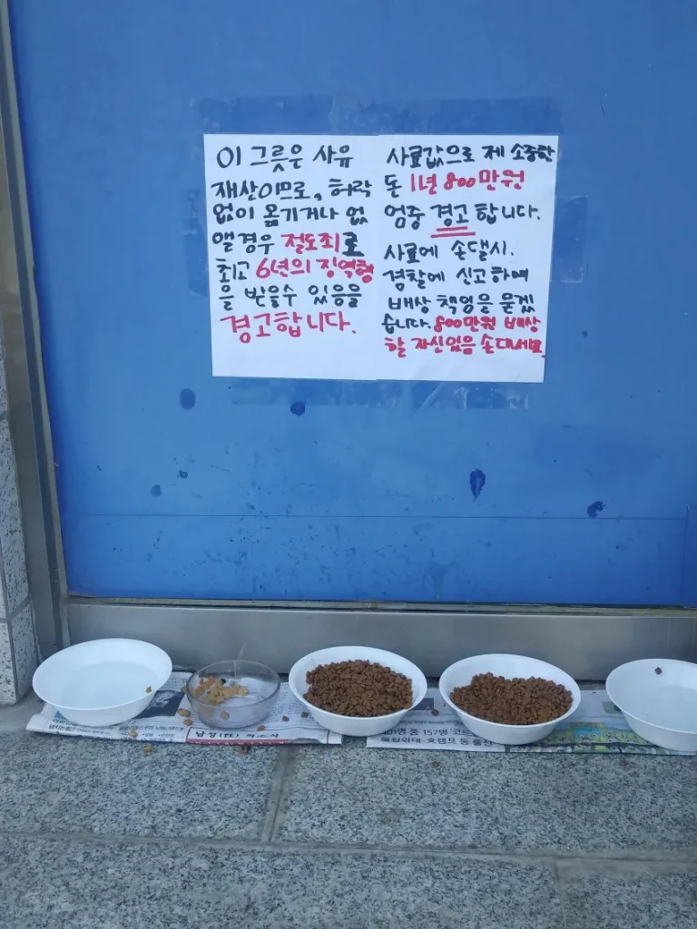 캣맘과 통화, 분노 주의