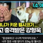 강형욱도 보듬기 힘든 참담한