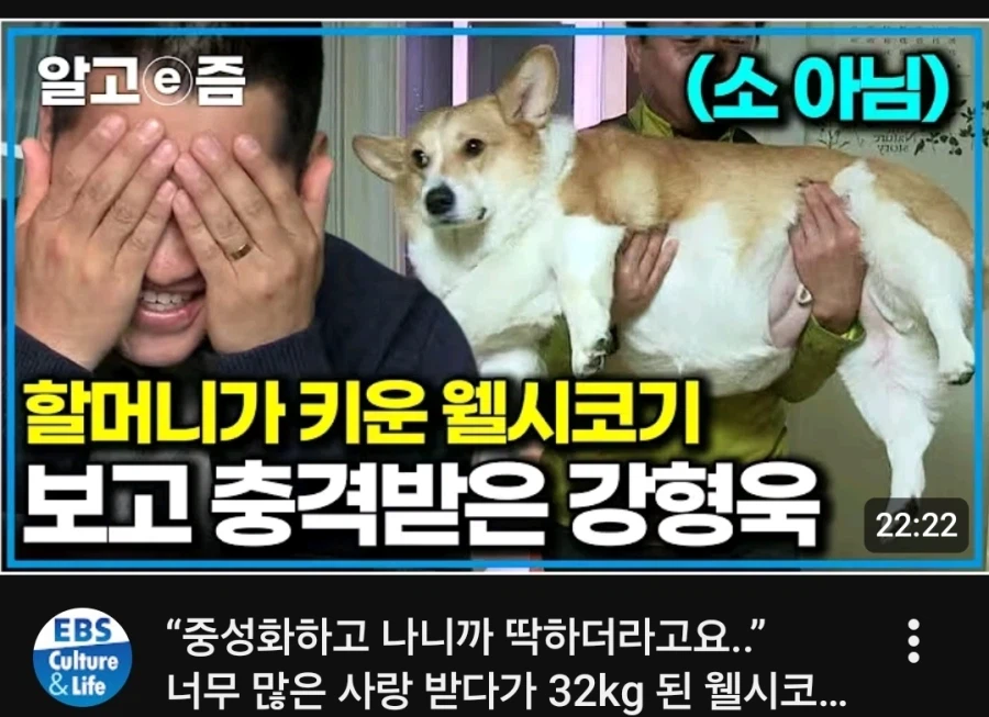 강형욱도 보듬기 힘든 참담한