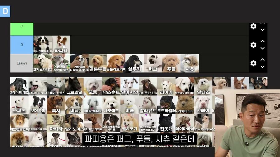 강형욱이 선정한 견종 난이도 티어리스트.jpg