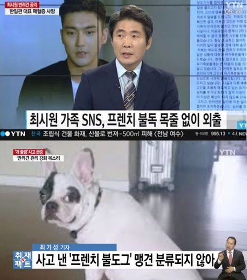 슈퍼주니어 최시원, 도요토미 히데요시 언급 관련