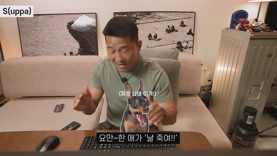 강형욱이 선정한 견종 난이도 티어리스트.jpg