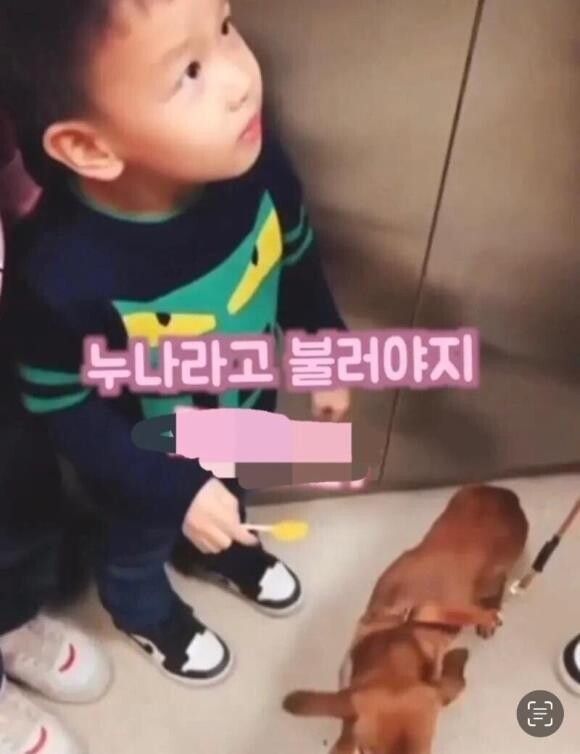 이 강아지, 이모 한번 만져봐도 될까요?