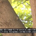 최근 한강공원에서 곤충 무단 채집 현수막을 건 이유.news