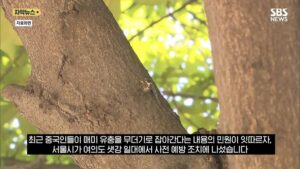 최근 한강공원에서 곤충 무단 채집 현수막을 건 이유.news