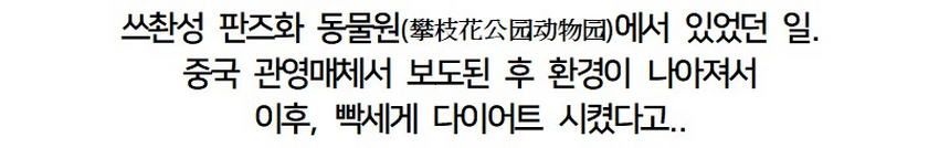 황당한 중국 동물원 대참사.jpg