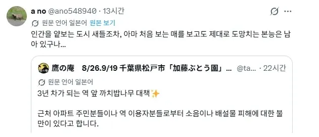 사람을 두려워하지 않는 새들을 쫓아내는 요령