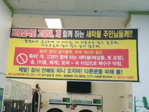 길고양이 돌보는 이들의 빨래방 이용 행태