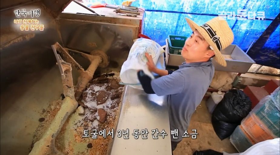 토종닭 2천마리 키우다 정든 사연