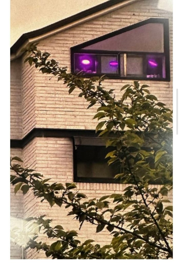 보라색 조명을 쓴다고 경찰에 신고당한 집