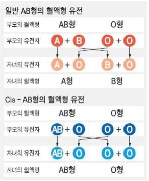 AB형, O형 부모 사이 O형 자녀 출생… 친자 검사 요구에 이혼 선언