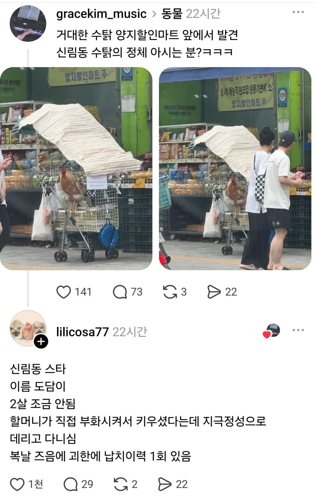 신림동 수탉, 스레드에 등장한 정체는?