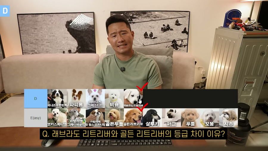 강형욱이 선정한 견종 난이도 티어리스트.jpg