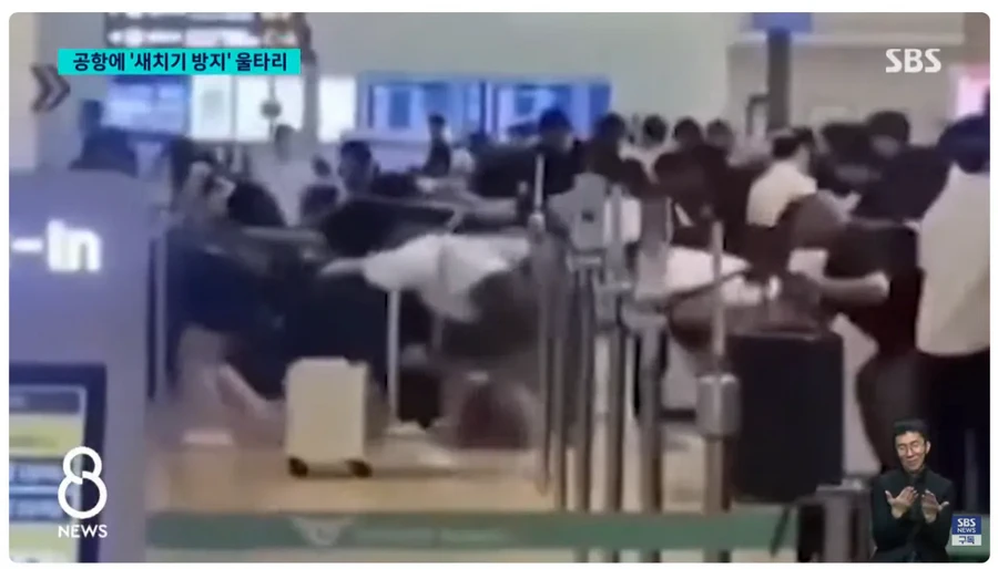 인천공항, 새치기 방지 울타리 설치 후 달라진 모습.news