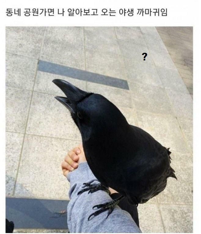 친구와 공원에서 만남