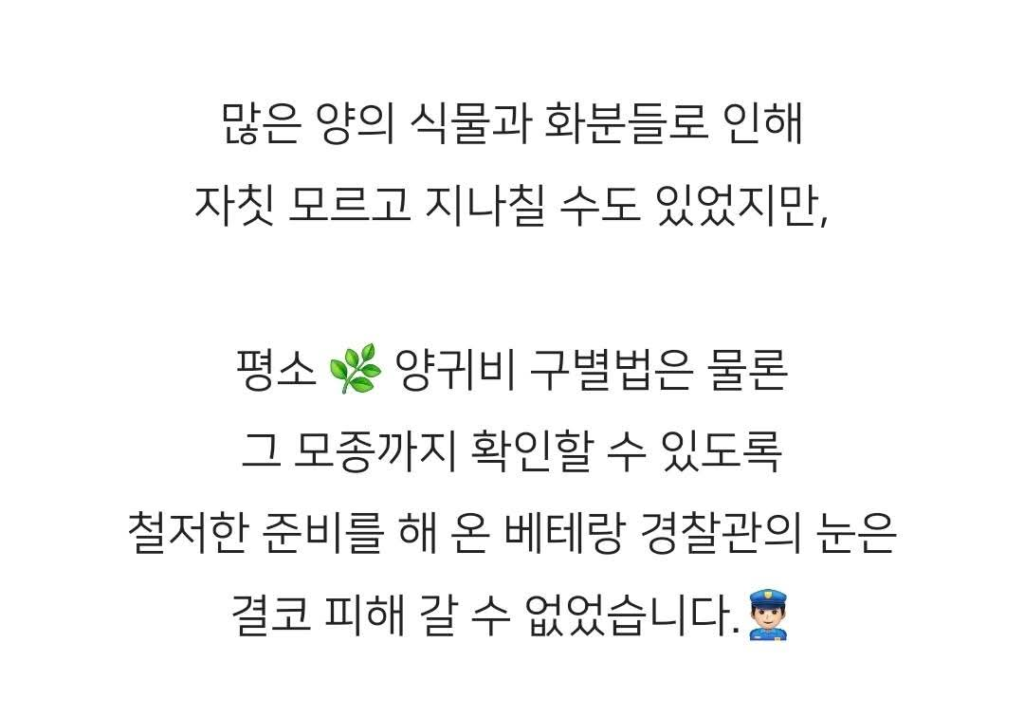 보라색 조명을 쓴다고 경찰에 신고당한 집
