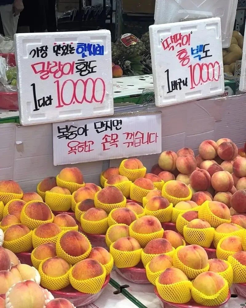 복숭아, 함부로 만지면 안 되는 이유