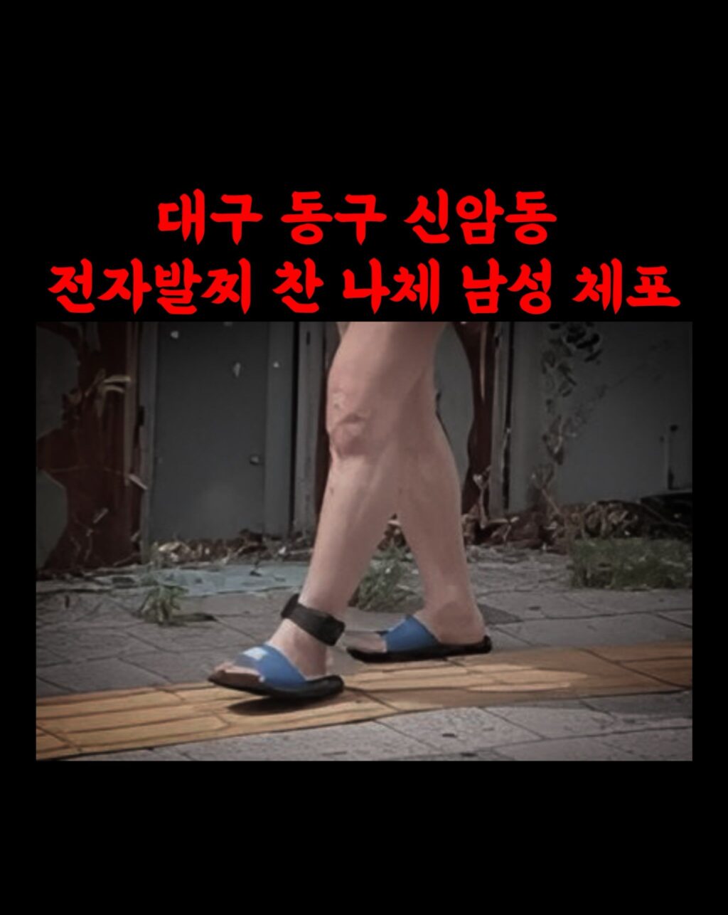 대구 터미네이터, 정말 놀랍네요