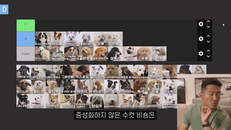 강형욱이 선정한 견종 난이도 티어리스트.jpg