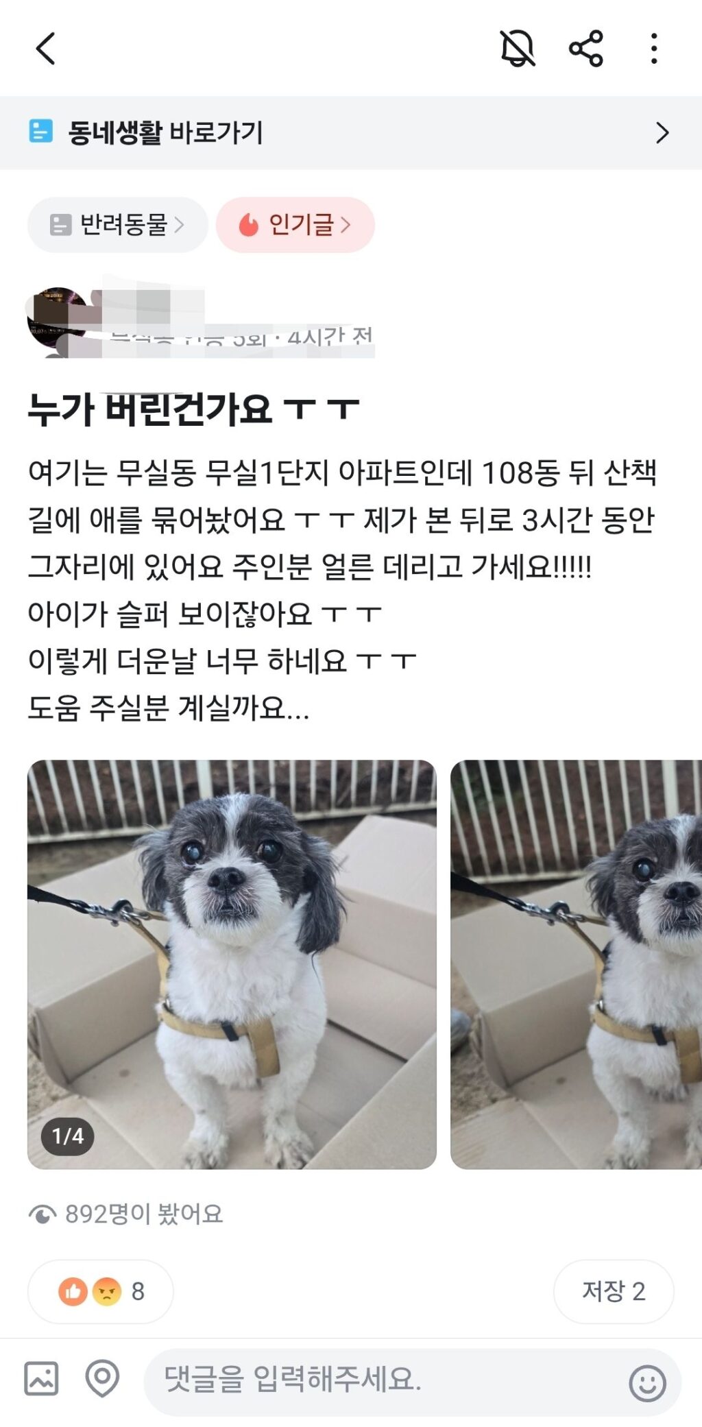 당근마켓에 올라온 유기견 소식