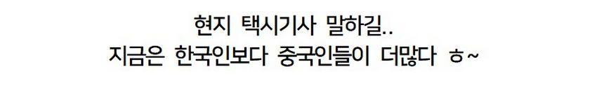 제주도 시내거리의 충격적인 근황.jpg