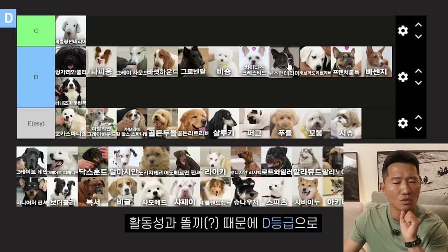 강형욱이 선정한 견종 난이도 티어리스트.jpg