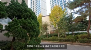 한국에서 가장 작은 건물, 그 이유는?