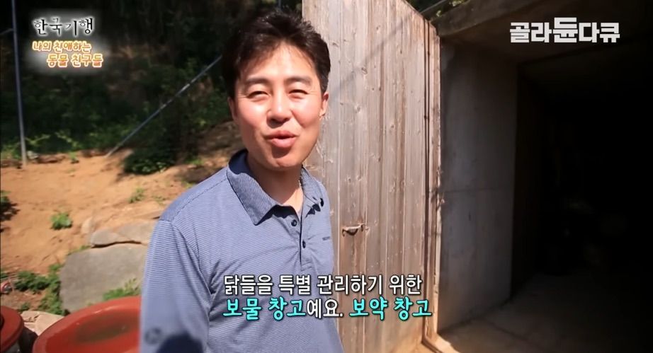 토종닭 2천마리 키우다 정든 사연