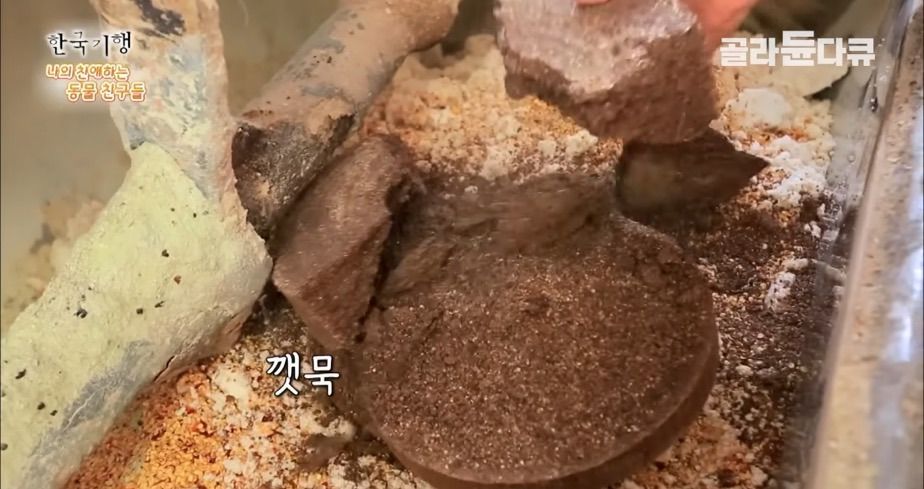 토종닭 2천마리 키우다 정든 사연