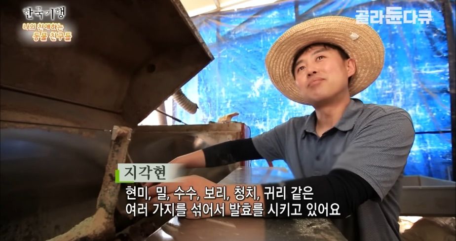 토종닭 2천마리 키우다 정든 사연