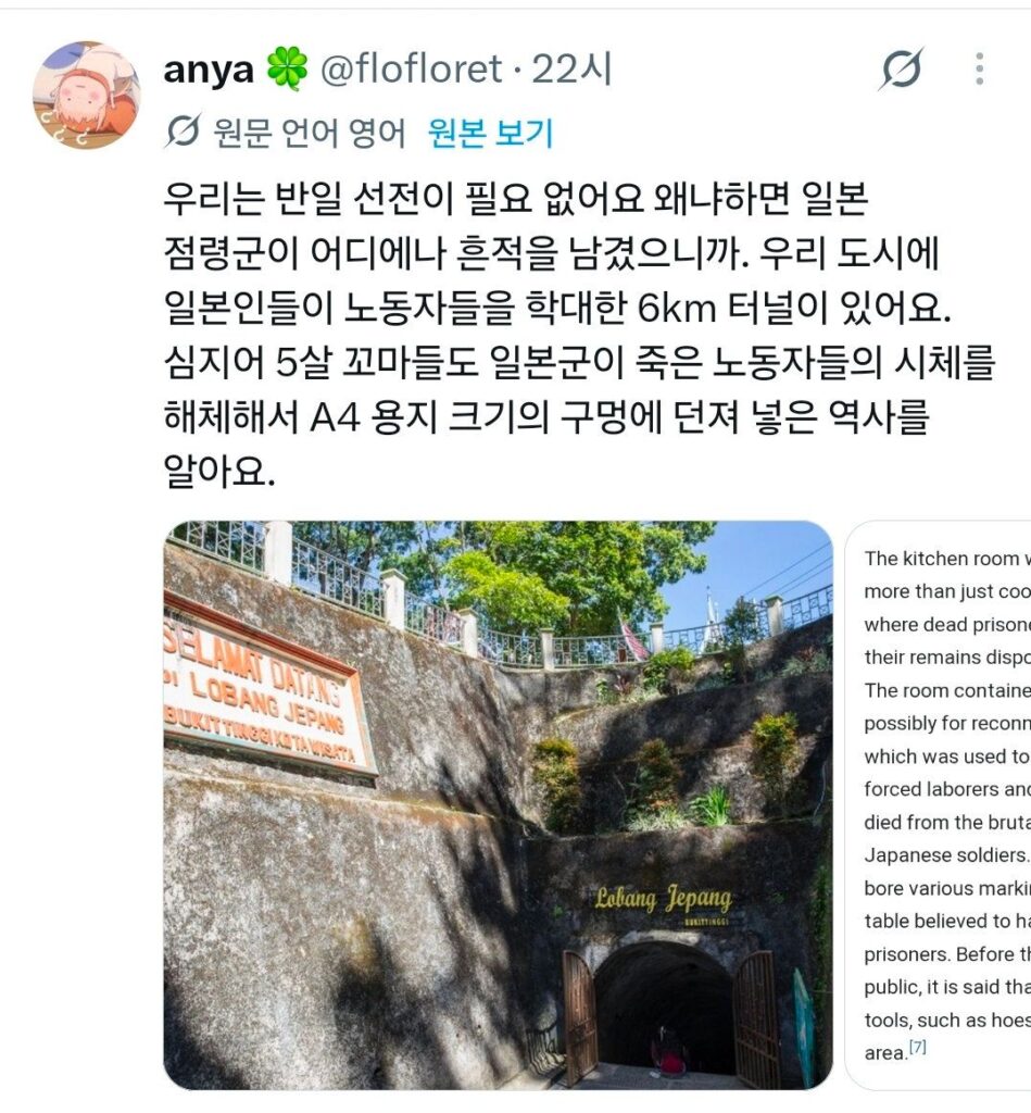 하영 이슈에 일본인 개입, 인도네시아인이 일본인 비난