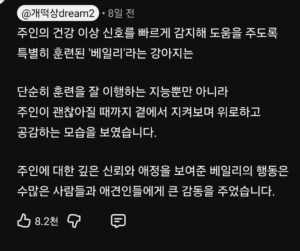 주인이 몰랐던 위험천만 순간, 강아지의 놀라운 대처