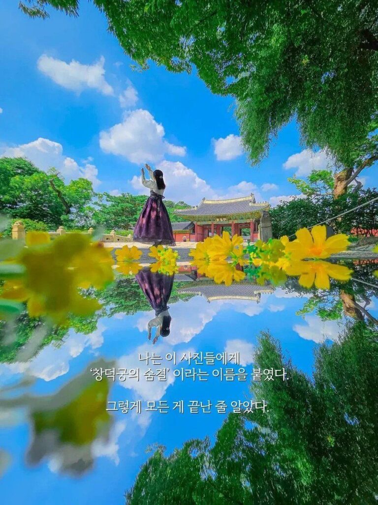 3시간 동안 창덕궁에서 사진 찍은 남자, 35도 폭염경보 속