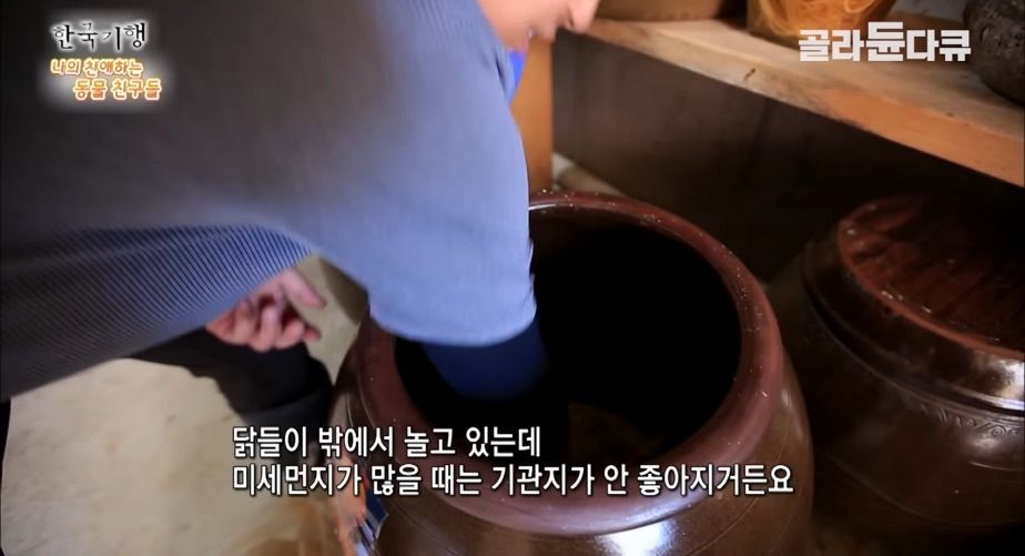 토종닭 2천마리 키우다 정든 사연