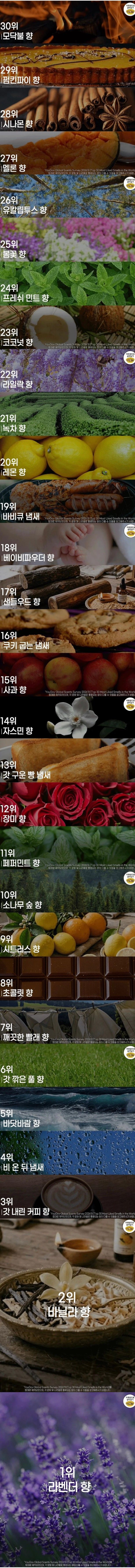 가장 인기 있는 향기 순위.jpg
