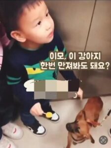 이 강아지, 이모 한번 만져봐도 될까요?