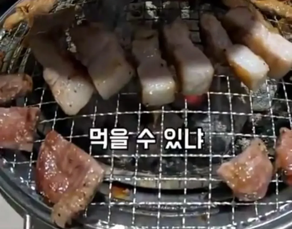 '고기와 수박' 썰을 확인하러 온 중국 틱톡커.jpg