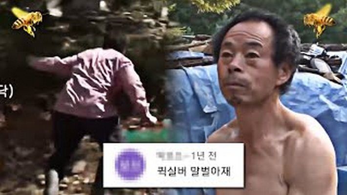 장수말벌 작살내는 천적 BEST5