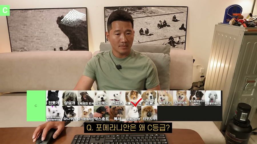 강형욱이 선정한 견종 난이도 티어리스트.jpg