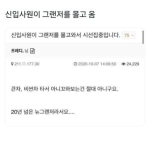그랜저 신입, 회사에 가져와 화제