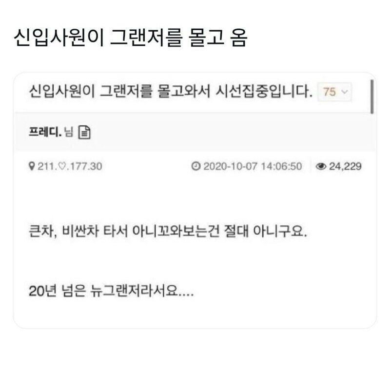 그랜저 신입, 회사에 가져와 화제