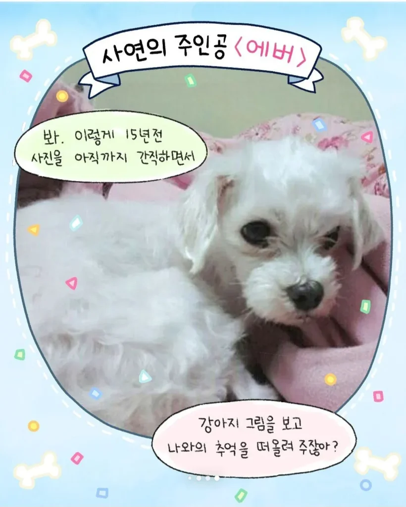 뜻밖의 방문객, 낯선 강아지.toon