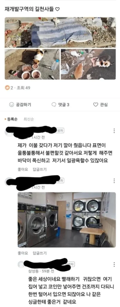 길고양이 돌보는 이들의 빨래방 이용 행태