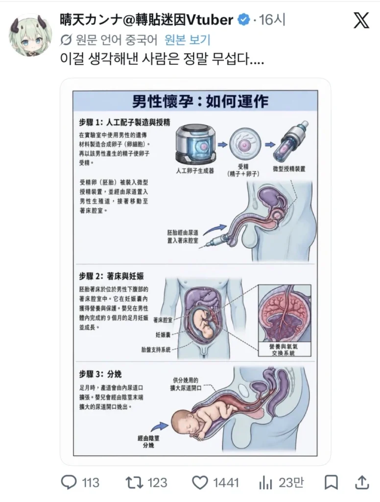남성 출산, 가능한 일일까?