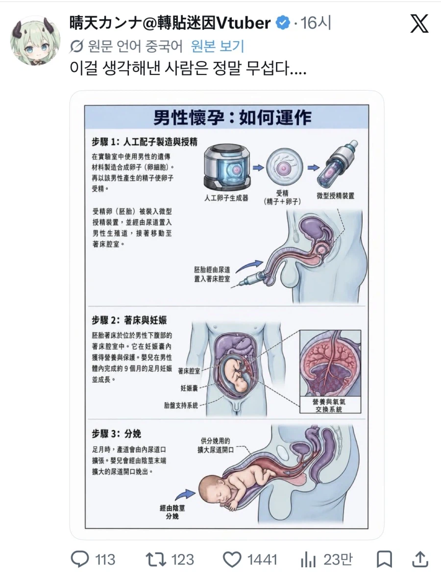 남성 출산, 가능한 일일까?
