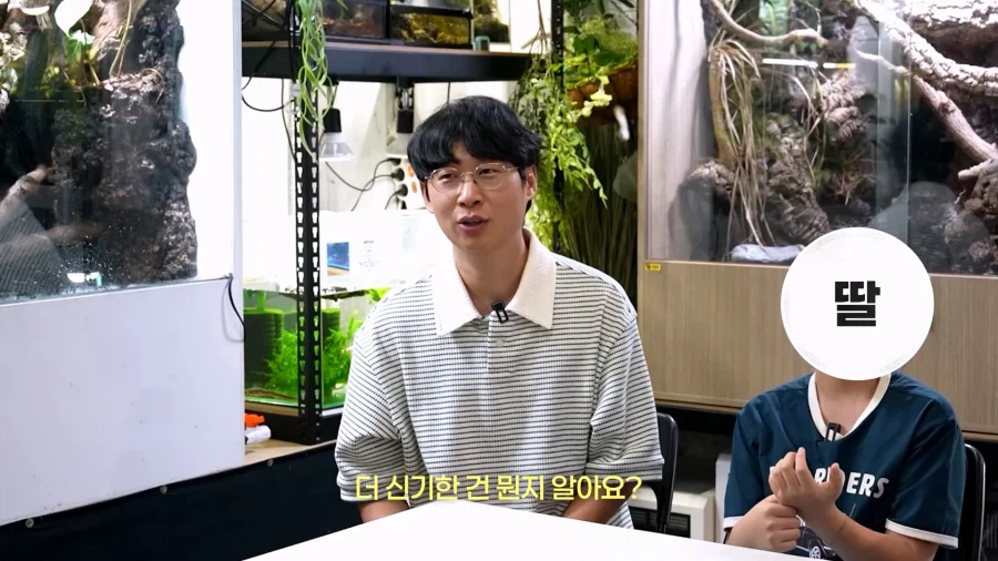 145만 파충류 유튜버, 한가인과 먼 친척 관계