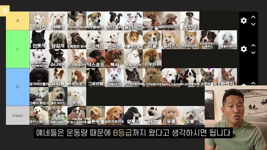 강형욱이 선정한 견종 난이도 티어리스트.jpg